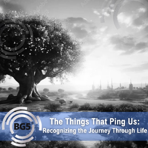 The Things That Ping Us: Recognizing the Journey Through Life